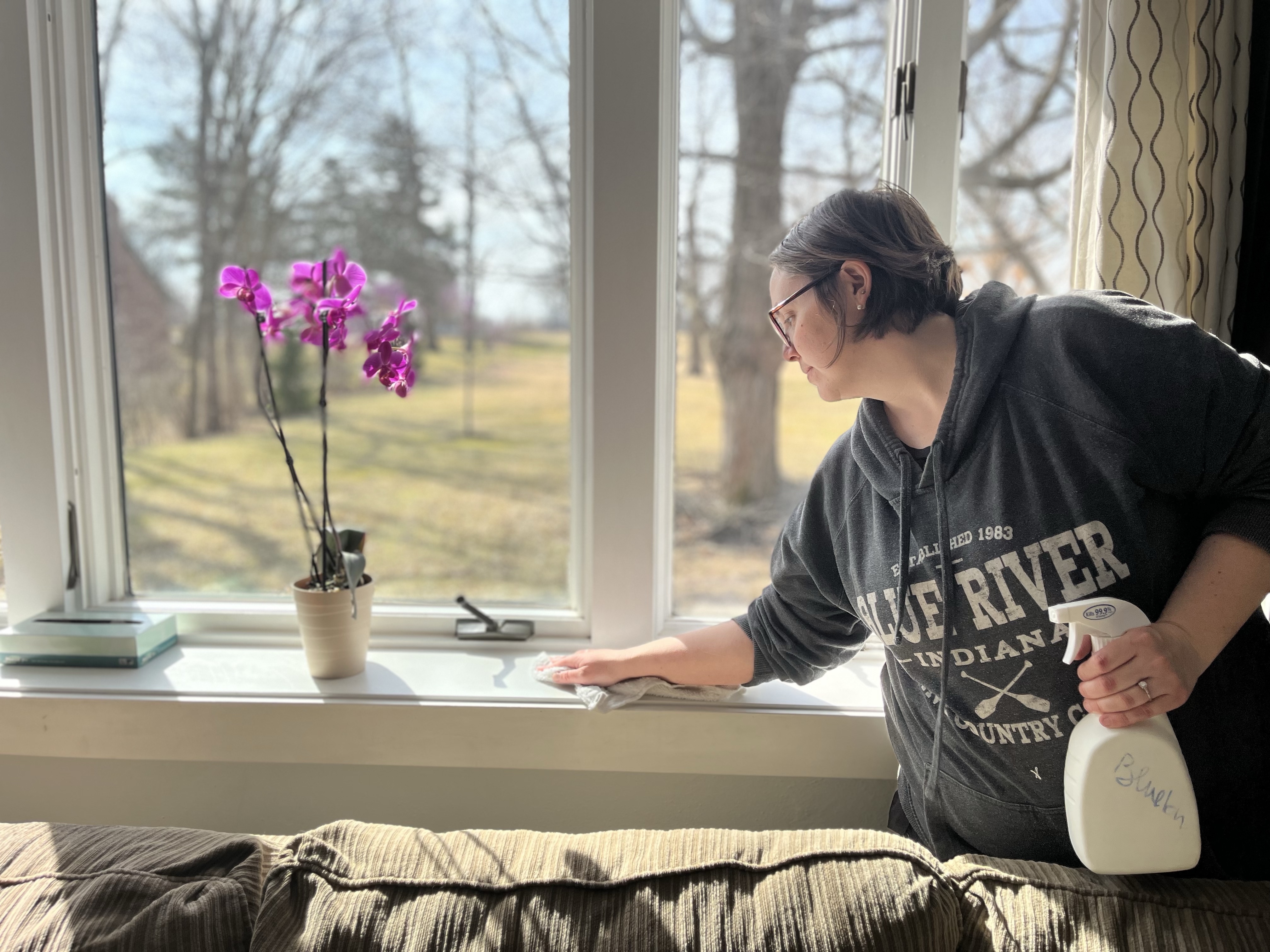 Professional Cleaner vs. a Non-Professional “Cleaning Lady” or “Housekeeper”