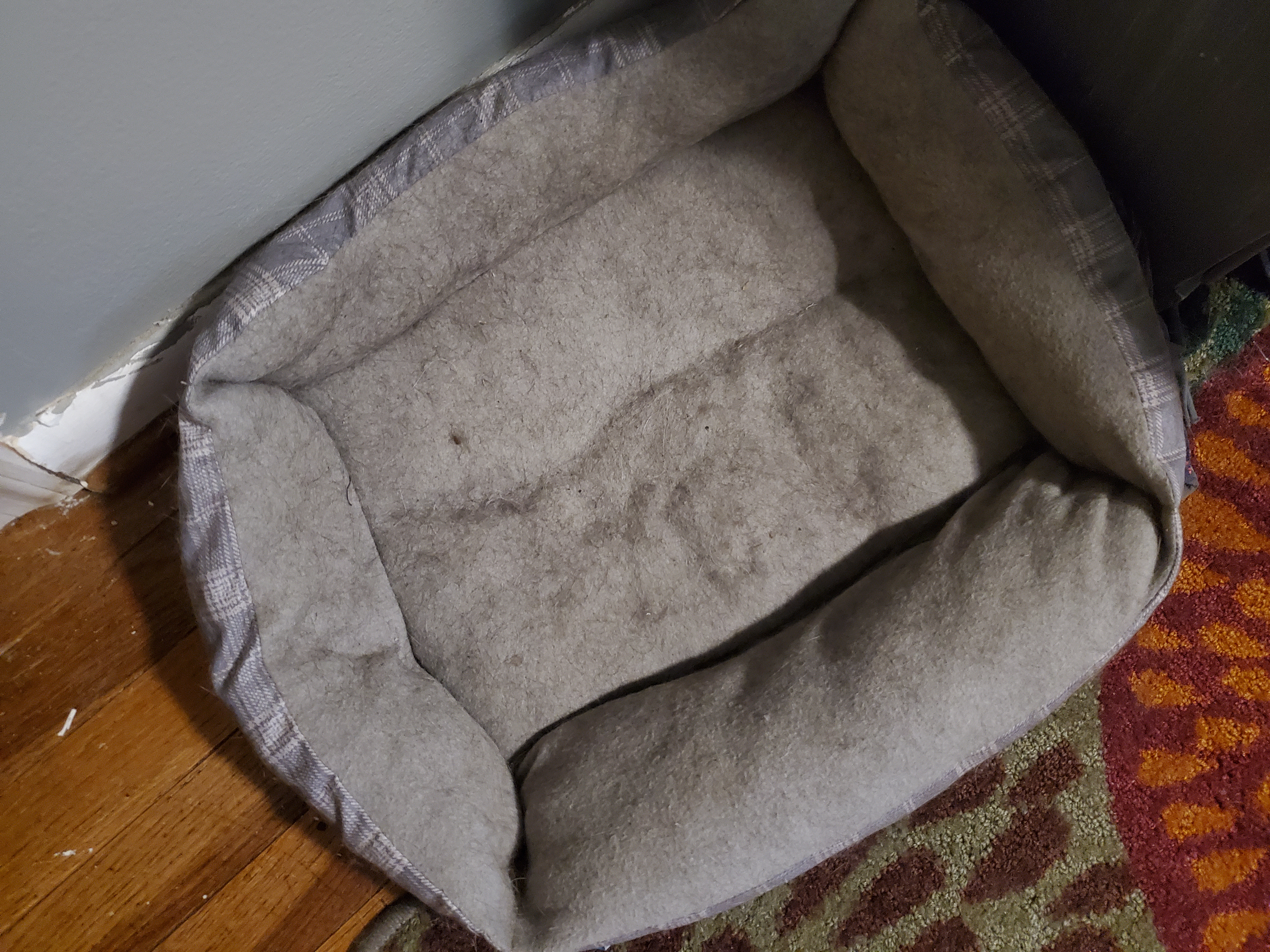 Wash your Pet Bedding Now!