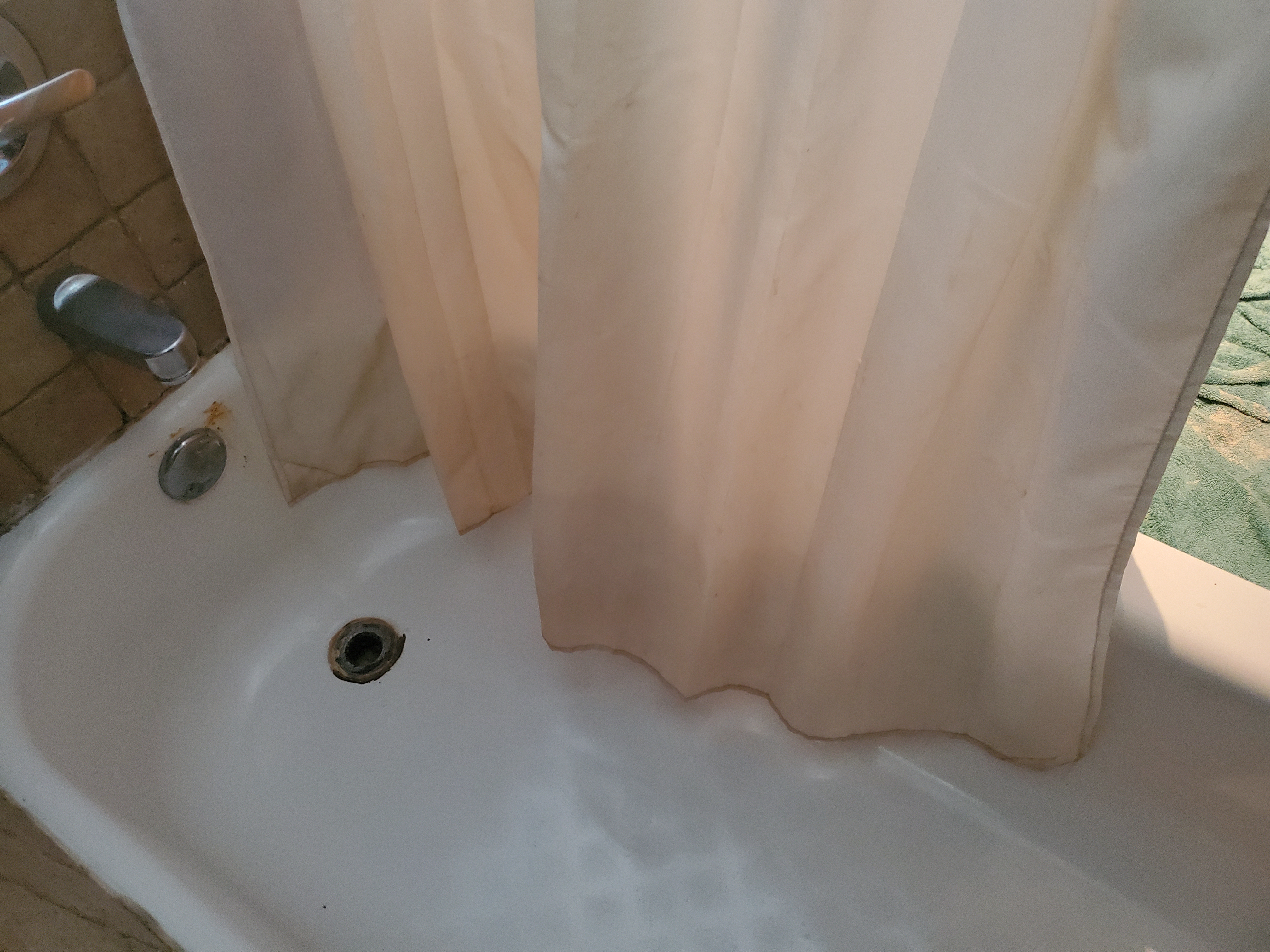 Cleaning Behind the Shower Curtain