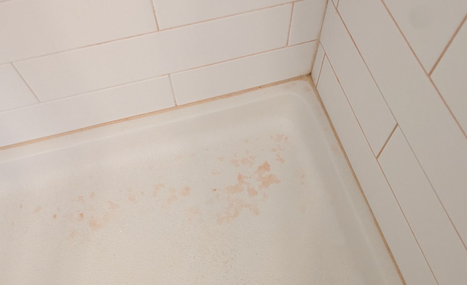 Seal your Bathroom Grout